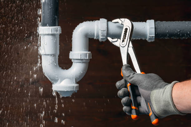 Professional Plumbing technician working in Covert, MI